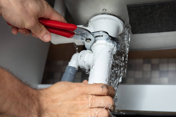 Best Carpet water damage restoration  in Palmyra, WI