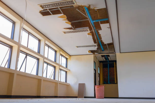 Best Water damage restoration specialists  in Palmyra, WI