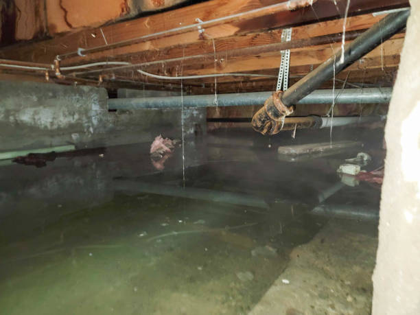 Reliable Palmyra, WI Water damage restoration Solutions