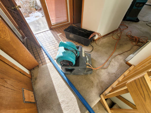 Best Professional water damage repair  in Palmyra, WI