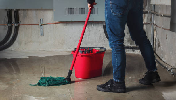 Best Residential water damage restoration  in Palmyra, WI