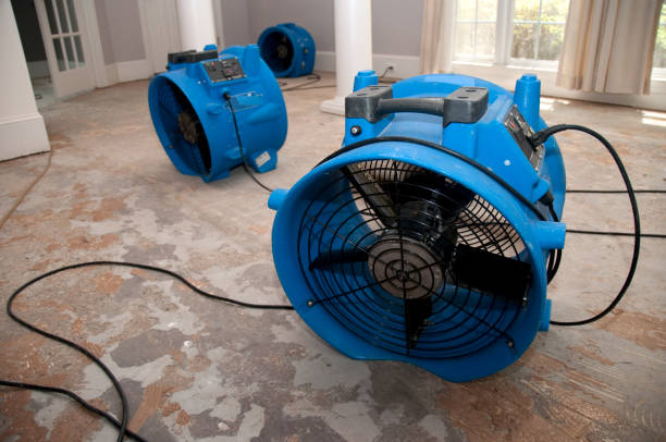 Water damage restoration mold remediation in Palmyra, WI