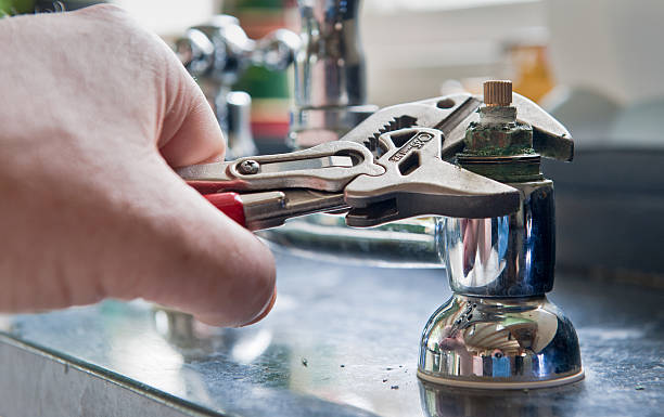Best Basement water damage restoration  in Palmyra, WI