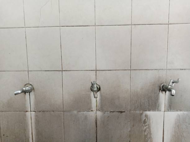 Best Flood damage cleanup  in Palmyra, WI