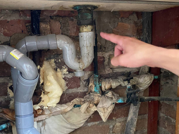 Best Water damage mitigation services  in Palmyra, WI