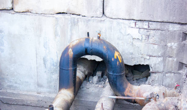 Best Water damage restoration cost  in Palmyra, WI