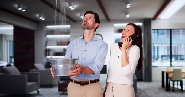 Best 24-hour water damage restoration  in Palmyra, WI